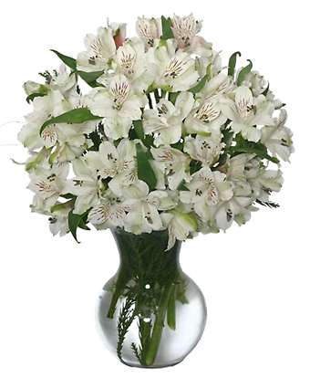 FLEECY WHITE FLOWER ARRANGEMENT     FSN