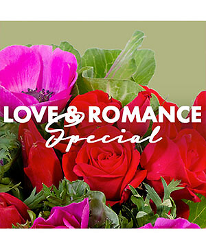 LOVE &amp; ROMANCE SPECIAL